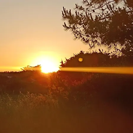 L'ecrin Des Marais * Les Sables-dʼOlonne