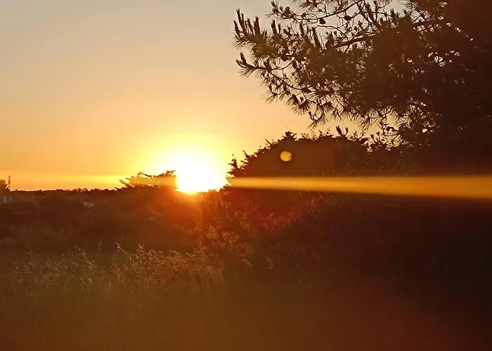 L'ecrin Des Marais * Les Sables-dʼOlonne